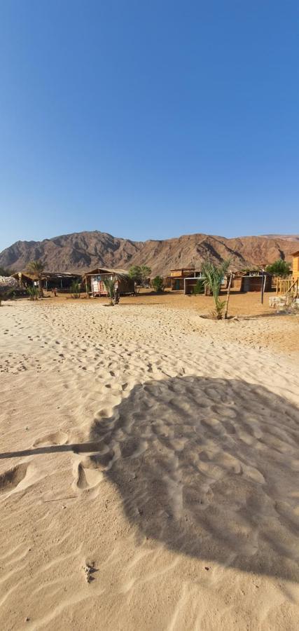 Diana Beach Camp Hotel Nuweiba Ngoại thất bức ảnh