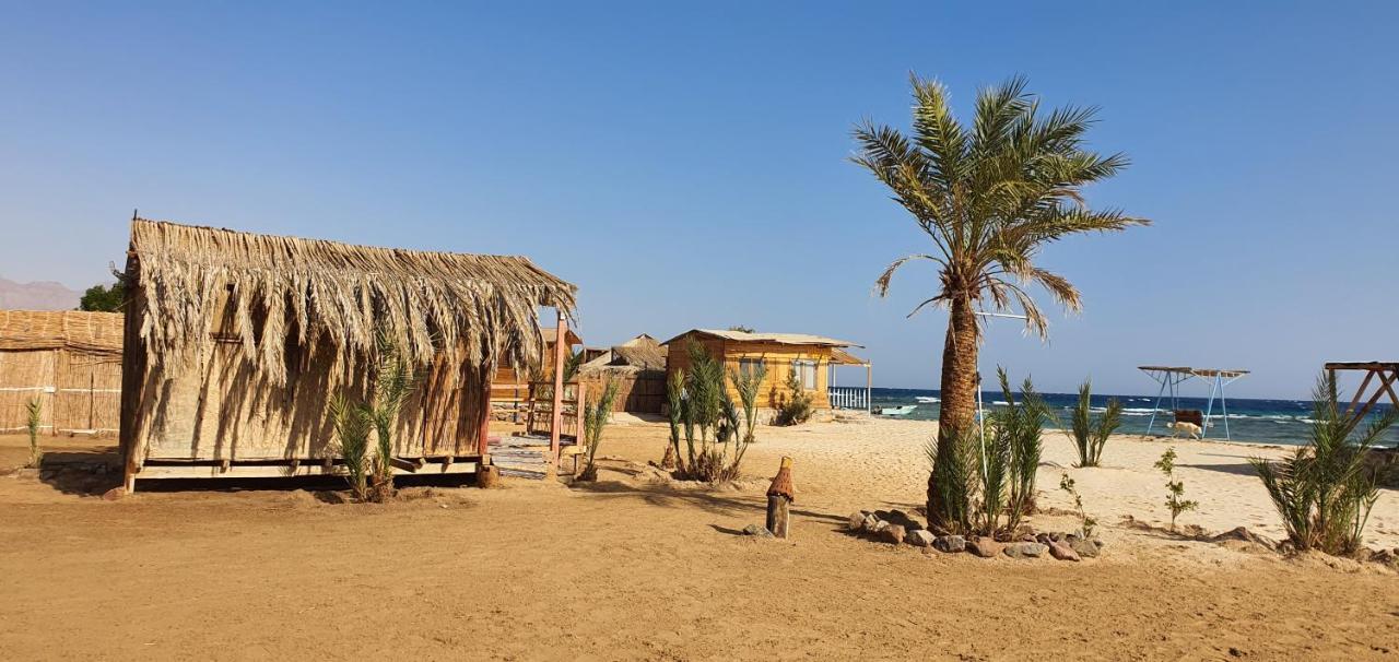 Diana Beach Camp Hotel Nuweiba Ngoại thất bức ảnh